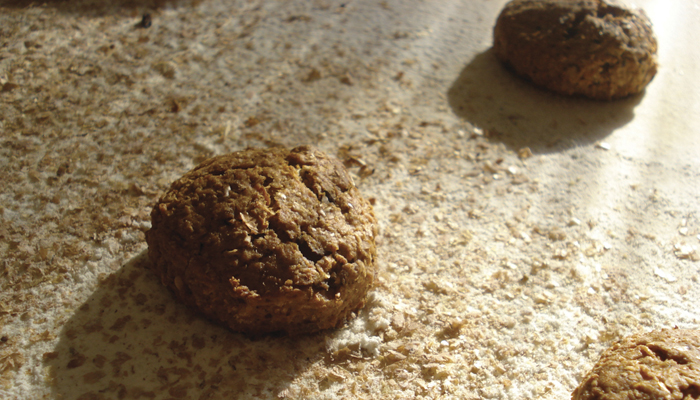 Biscotti ai cereali